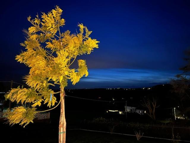 Ermitage La Suite-Hermitage Al Tramonto-Hermitage Tra Le Vigne Cioccaro Di Penango Zewnętrze zdjęcie